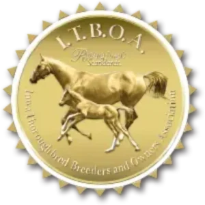 Iowa Stallion Stakes Nomination