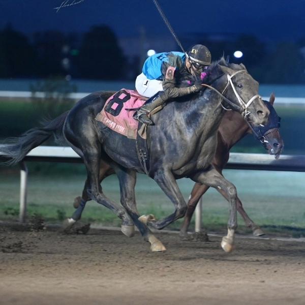 AIN'T LIFE GRAND - The Iowa Derby - 07-09-22