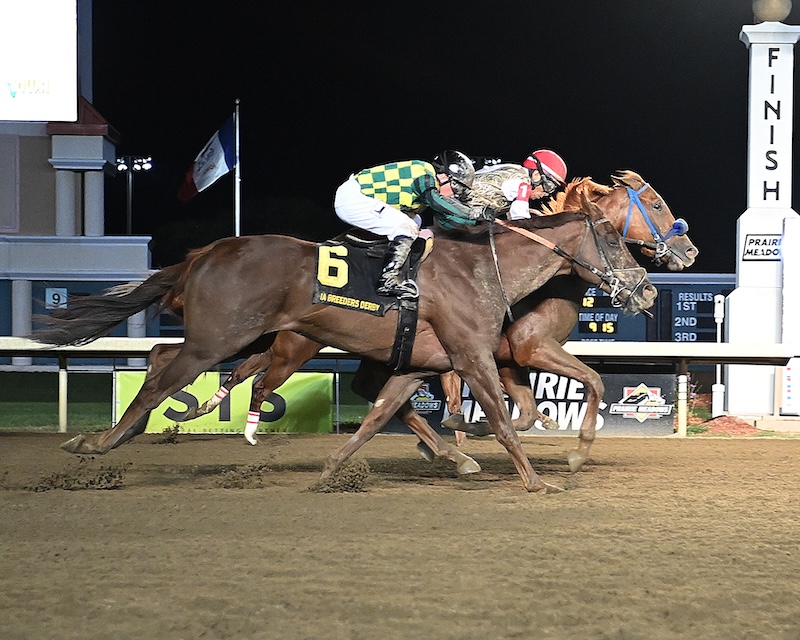 ROCKIN THE DAD BOD -The Iowa Breeders' Derby - 09-30-23 - R12 - PRM