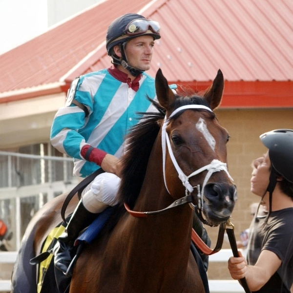 Sure Shot Paddock