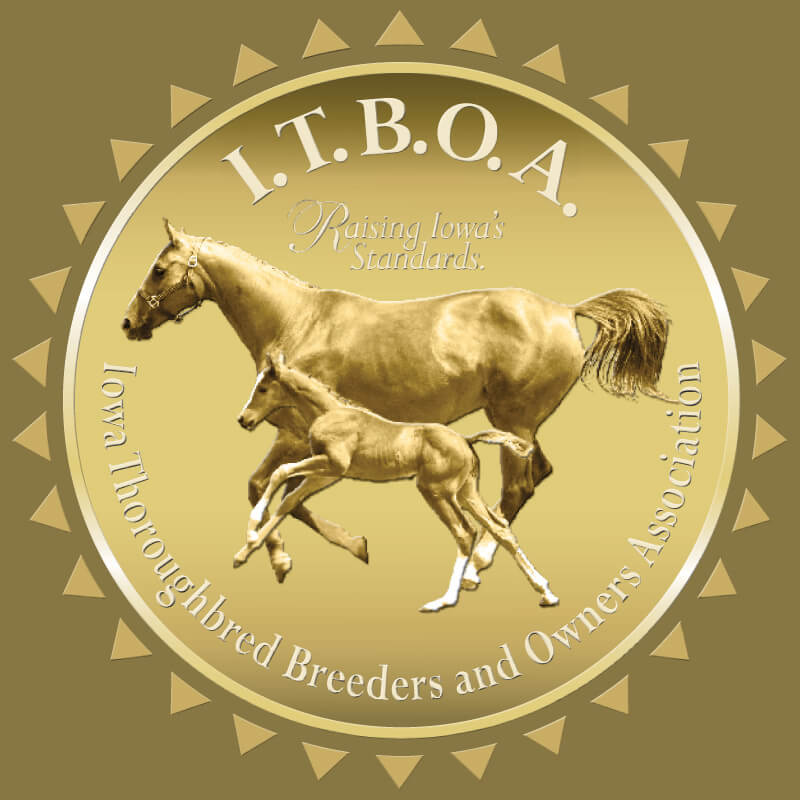 big logo